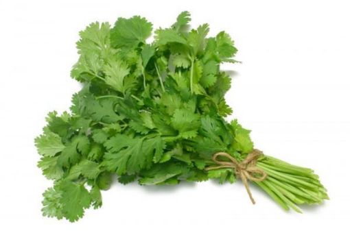 Picture of Coriander (bunch)