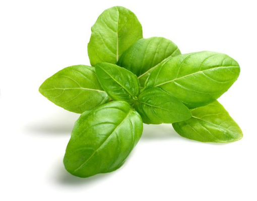 Picture of Basil pack (40g)