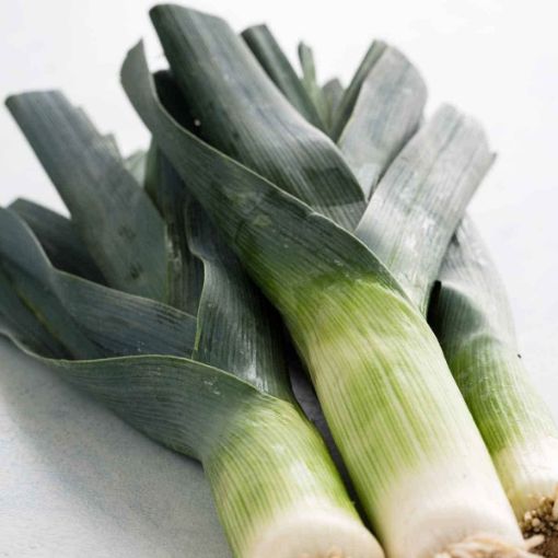 Picture of Leeks (bunch)