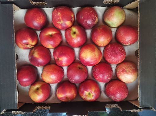Picture of Nectarines value box (18 p/tray)